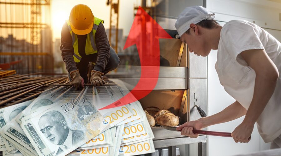 Plate u dve delatnosti u Srbiji skoro 300.000 dinara: Jedna je blizu programiranja, a druga na dnu liste (tabela)