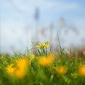 Posle oblaka, stiže sunce