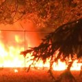 Posle pobede Studentske liste zapaljen Pionirski park