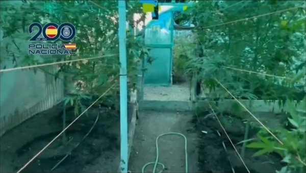 ЗАПЛЕЊЕНО 11 ТОНА ХАШИША: Резултат вишемесечне акције шпанске полиције током које је ухапшено 86 осумњичених ЗАПЛЕЊЕНО 11 ТОНА ХАШИША: Резултат вишемесечне акције шпанске полиције током које је ухапшено 86 осумњичених