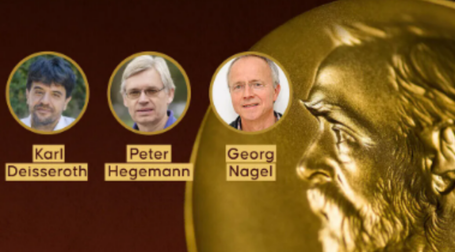 SVETLOŠĆU PROTIV BOLESTI MOZGA? Nobel za otkriće koje bi moglo da pomogne u borbi protiv Parkinsona, epilepsije i depresije!