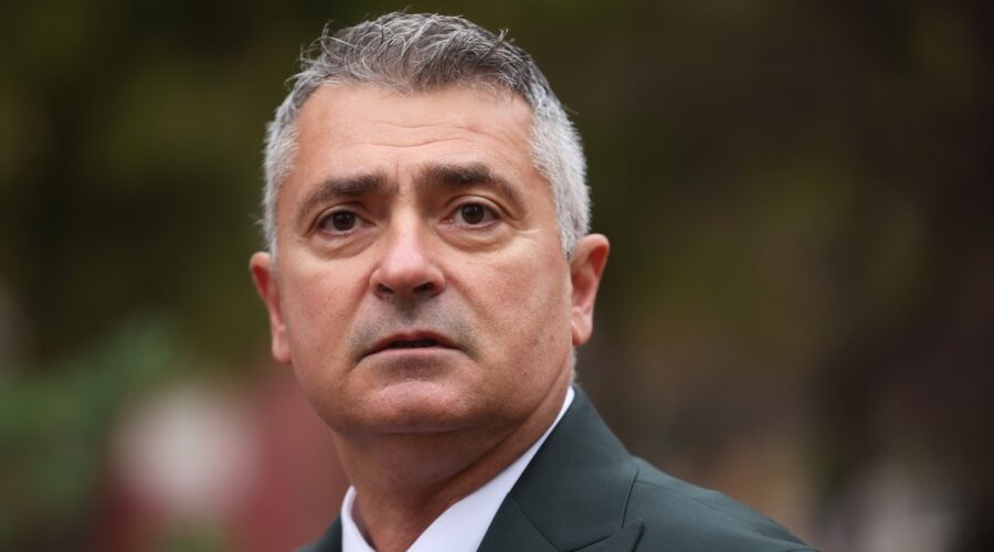 Srđanović: Odnose sa Hrvatskom razvijaćemo u normalne demokratske i prijateljske