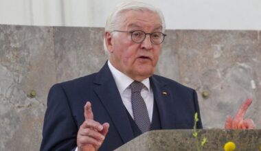 Štajnmajer jedan od krivaca što su Evropa i Nemačka u ćorsokaku
