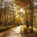 Sunčan dan, uveče stiže kiša - najviša temperatura i do 21 stepen