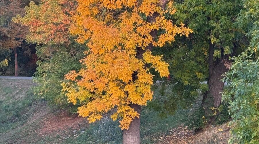 Sunčano i hladno – Naslovi.net