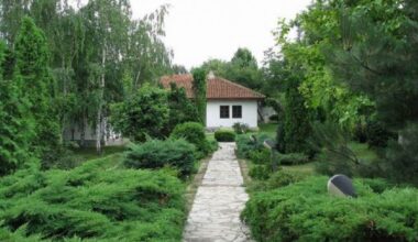 Za obnovu krova namenjeno 1,6 miliona dinara