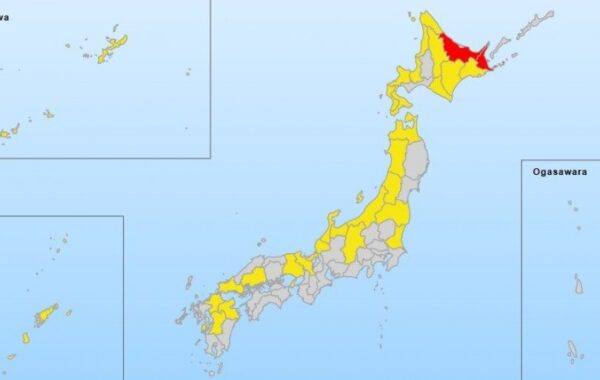 Zemljotres jačine 5,5 stepeni pogodio obalu japanskog ostrva Honšu