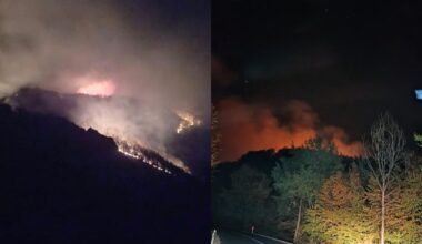 „VATRA SE ŠIRI, NE MOŽEMO DA JE ZAUSTAVIMO!“ Vapaj meštana Laznice: Požar preti da stigne do puta Majdanpek–Žagubica!