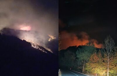 „VATRA SE ŠIRI, NE MOŽEMO DA JE ZAUSTAVIMO!“ Vapaj meštana Laznice: Požar preti da stigne do puta Majdanpek–Žagubica!