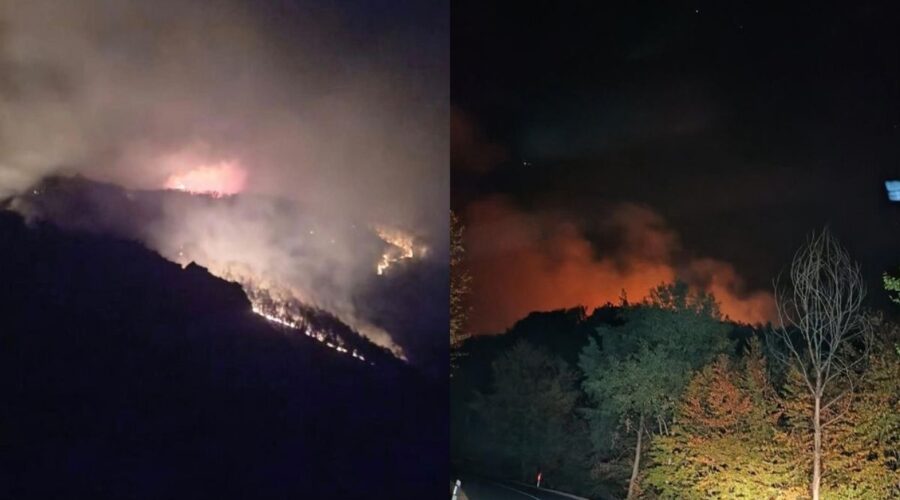„VATRA SE ŠIRI, NE MOŽEMO DA JE ZAUSTAVIMO!“ Vapaj meštana Laznice: Požar preti da stigne do puta Majdanpek–Žagubica!